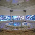 Hotel Wellness- Und Edelweiss 4*
