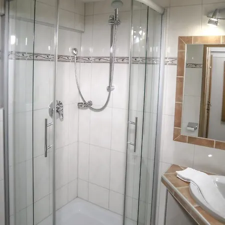 Wellness- Und Edelweiss מלון 4*